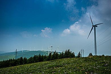 任天堂将经典3DS游戏重制版交给Switch 2首发